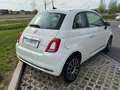 Fiat 500 1.0i MHEV, sensoren, Pano dak,Carplay, Autom airco Blanc - thumbnail 19