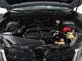 Subaru Forester 2.0 Luxury | Panoramadak | Verwarmbare voorstoelen Hnědá - thumbnail 5