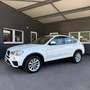 BMW X4 xDrive 20d Österreich-Paket Aut. Weiß - thumbnail 2