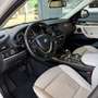 BMW X4 xDrive 20d Österreich-Paket Aut. Weiß - thumbnail 13