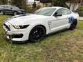 Ford Mustang Shelby GT350 Weiß - thumbnail 6