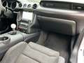 Ford Mustang Shelby GT350 Weiß - thumbnail 11