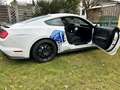 Ford Mustang Shelby GT350 Weiß - thumbnail 8