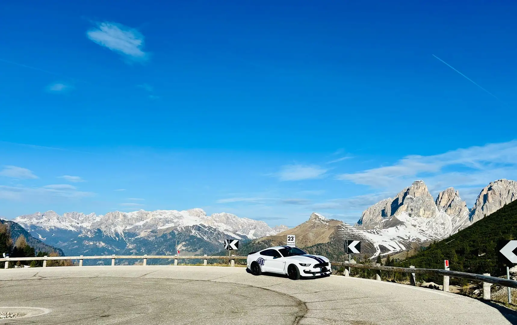 Ford Mustang Shelby GT350 Weiß - 2