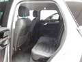 Volkswagen Touareg 3.0 4M ELEGANCE AHK LUFT IQ.DRIVE ACC APP Weiß - thumbnail 3