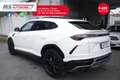 Lamborghini Urus Lamborghini Urus 4.0 Iva Esposta Unicoproprietario Білий - thumbnail 16