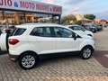 Ford EcoSport EcoSport 2014 1.5 tdci Titanium S 95cv Blanc - thumbnail 6