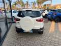 Ford EcoSport EcoSport 2014 1.5 tdci Titanium S 95cv Blanc - thumbnail 3