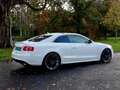 Audi S5 S5 4.2 FSI quattro Wit - thumbnail 4