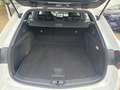 Toyota Corolla 2.0 l Hybrid TS.  Business Editi AUT Wit - thumbnail 12