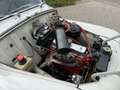 Volvo PV544 Kattenrug P54405 A 1960 (Prachtige staat) Grau - thumbnail 20