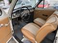 Volvo PV544 Kattenrug P54405 A 1960 (Prachtige staat) Grau - thumbnail 5