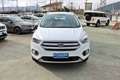 Ford Kuga 1.5 ecoboost ST-Line Powershift Business AWD EURO6 Bianco - thumbnail 2