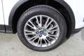 Ford Kuga 1.5 ecoboost ST-Line Powershift Business AWD EURO6 Weiß - thumbnail 4