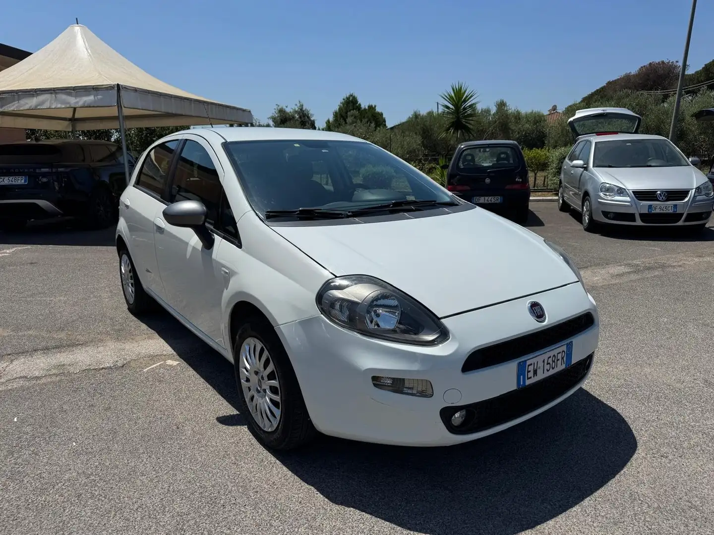 Fiat Punto 1.2 BENZ 69CV 5 PORTE 2014 Blanc - 2