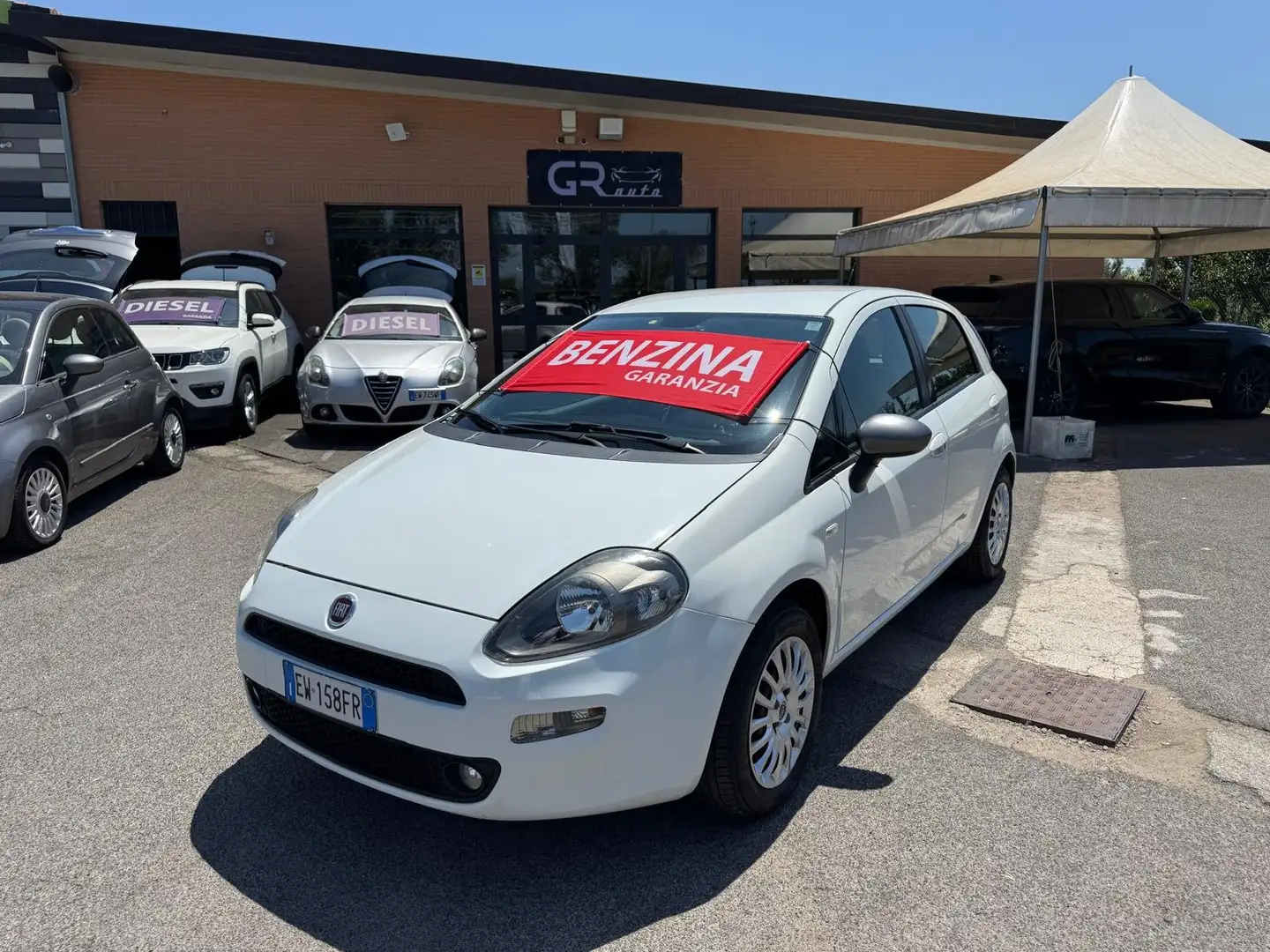 Fiat Punto 1.2 BENZ 69CV 5 PORTE 2014 Blanc - 1