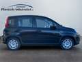 Fiat Panda Pandina Cross 1.0 GSE DAB Spurhalteass. Verkehrsze Schwarz - thumbnail 8