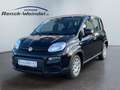Fiat Panda Pandina Cross 1.0 GSE DAB Spurhalteass. Verkehrsze Schwarz - thumbnail 17