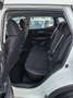 Nissan Qashqai Qashqai 1.5 dci Business 115cv Bianco - thumbnail 17