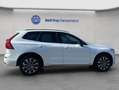 Volvo XC60 XC60 B4 AWD Plus-Dark Aut ACC BLIS Leder AHK Weiß - thumbnail 7