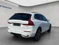 Volvo XC60 XC60 B4 AWD Plus-Dark Aut ACC BLIS Leder AHK Weiß - thumbnail 6