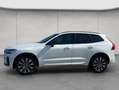 Volvo XC60 XC60 B4 AWD Plus-Dark Aut ACC BLIS Leder AHK Weiß - thumbnail 2