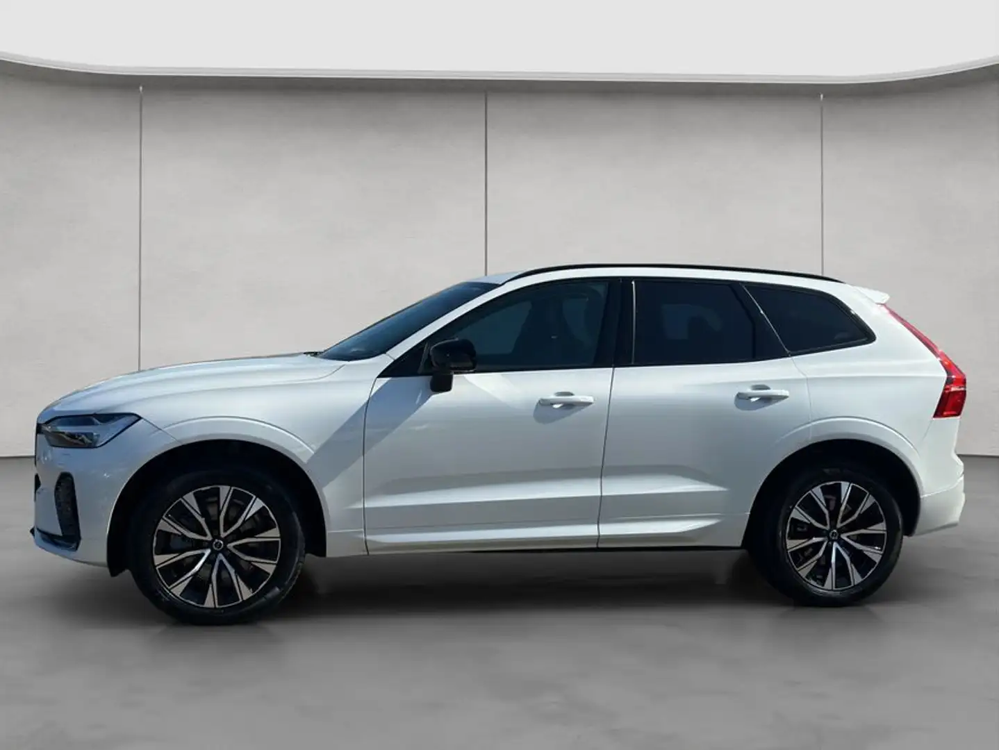 Volvo XC60 XC60 B4 AWD Plus-Dark Aut ACC BLIS Leder AHK Weiß - 2