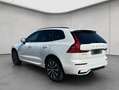 Volvo XC60 XC60 B4 AWD Plus-Dark Aut ACC BLIS Leder AHK Weiß - thumbnail 3