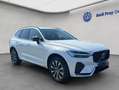 Volvo XC60 XC60 B4 AWD Plus-Dark Aut ACC BLIS Leder AHK Weiß - thumbnail 8