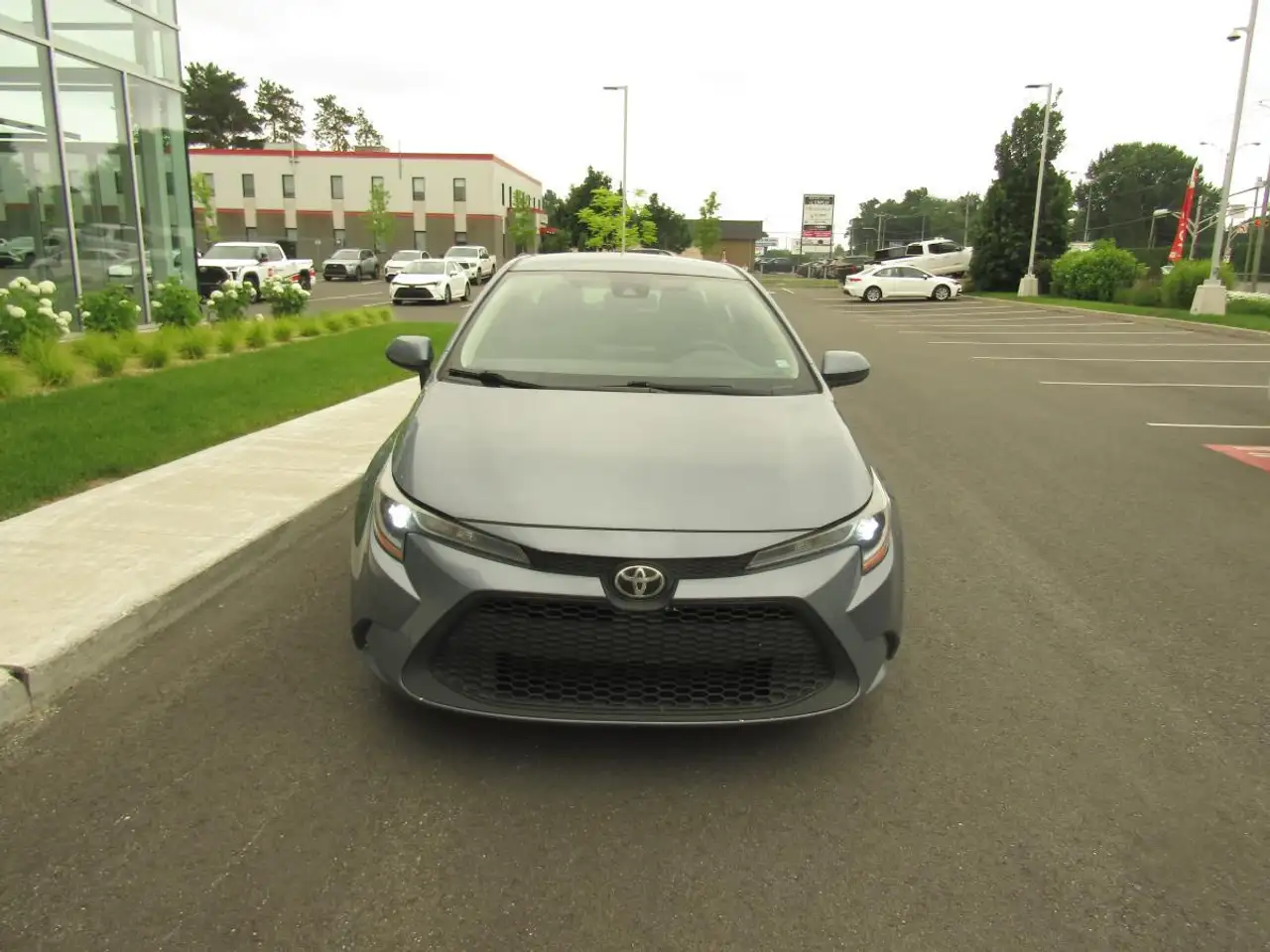 Toyota Corolla fotografie Toyota Corolla