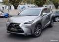 Lexus NX 300h 300h 4wd luxe Gris - thumbnail 1