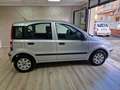 Fiat Panda Panda 1.2 Dynamic Argento - thumbnail 12
