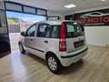 Fiat Panda Panda 1.2 Dynamic Argento - thumbnail 5