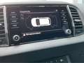 Skoda Karoq Clever TDI AHK LED Apple CarPlay Android Auto Mehr Grau - thumbnail 23