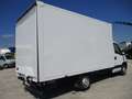 Iveco Daily 35S15 2.3 150CV EURO 5 FURGONE+ PEDANA CARICATRICE Bianco - thumbnail 5