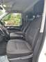 Volkswagen Multivan 2,0 TDI 4Motion ACC DSG Erstbesitz!!! Weiß - thumbnail 13
