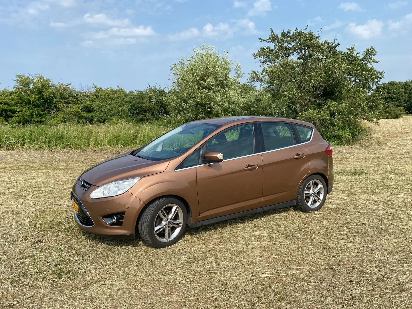 Ford C-Max C-Max 1.0 Edition Plus Bruin - 1