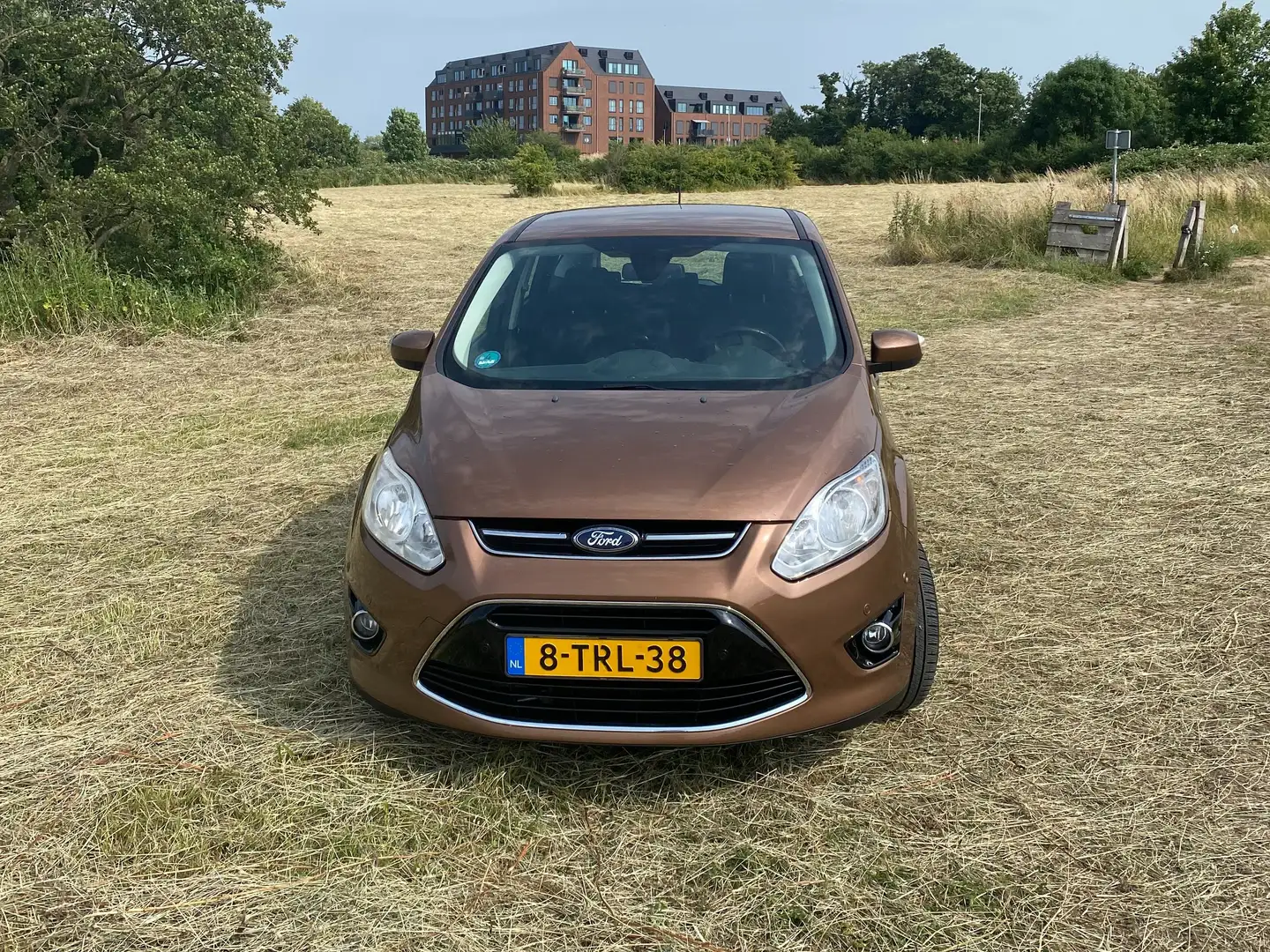 Ford C-Max C-Max 1.0 Edition Plus Bruin - 2