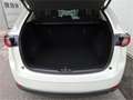 Mazda CX-5 CD184 AWD Revolution Top Aut. Blanc - thumbnail 24