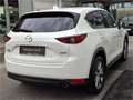 Mazda CX-5 CD184 AWD Revolution Top Aut. Blanc - thumbnail 7
