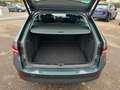 Skoda Superb 2.0 TDI 4x4 DSG PANO/STANDH./MATRIX/ALU Grau - thumbnail 16