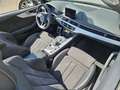 Audi A5 Cabrio 3.0TDI CD S line ed. Q. S-T 218 Gris - thumbnail 23