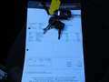 Microcar M.Go Brommobiel 6 White TOPSTAAT! ACHTERUITRIJCAMERA! P - thumbnail 22