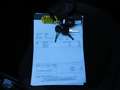 Microcar M.Go Brommobiel 6 White TOPSTAAT! ACHTERUITRIJCAMERA! P - thumbnail 20