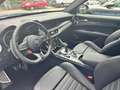 Alfa Romeo Stelvio Quadrifoglio 2.9 V6 Bi-Turbo Q4 plava - thumbnail 8