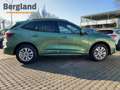 Ford Kuga ST-LINE X 5D 2,5HEV225 S6,2P CT FW Grün - thumbnail 5