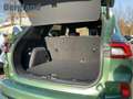 Ford Kuga ST-LINE X 5D 2,5HEV225 S6,2P CT FW Grün - thumbnail 13