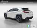 Lexus UX 250h 2.0 Business Blanco - thumbnail 2