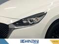 Mazda 2 Mazda2 1.5 e-Skyactiv-G 90 CV M Hybrid Homura Bianco - thumbnail 13