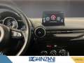 Mazda 2 Mazda2 1.5 e-Skyactiv-G 90 CV M Hybrid Homura Bianco - thumbnail 11